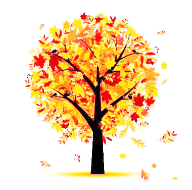 autumn-tree.png